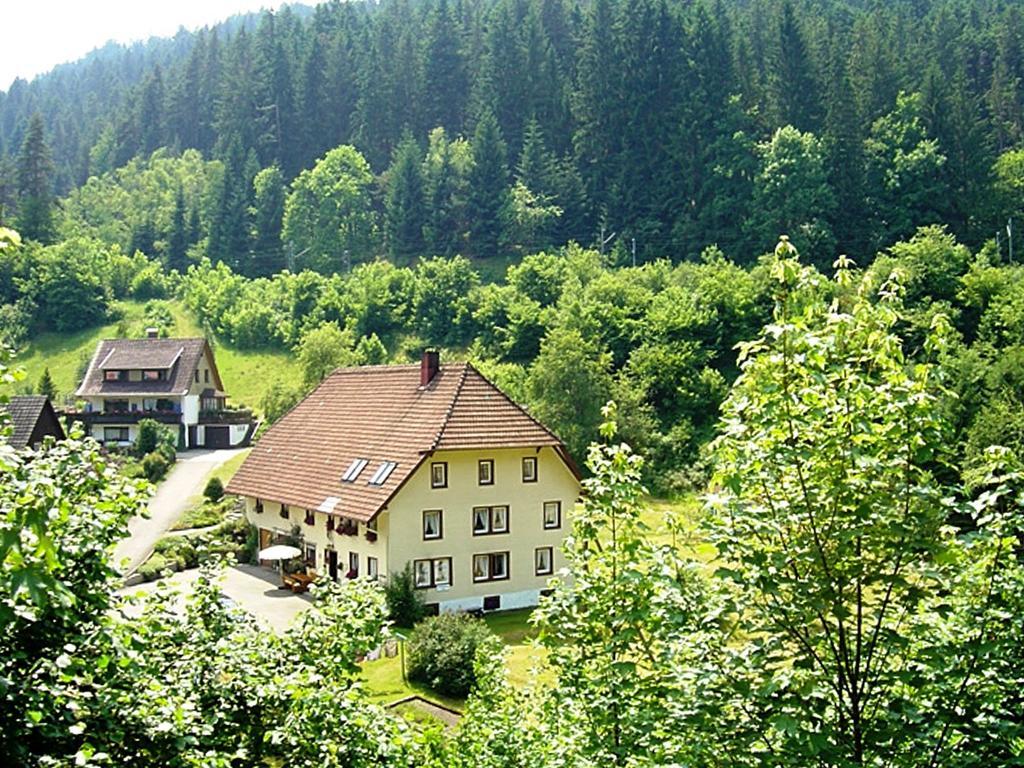 Country Style Flat With Garden Apartamento Triberg im Schwarzwald Exterior foto